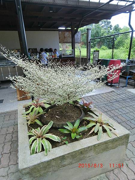 104.8288巴拉望_4586