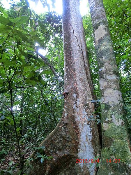 104.8288巴拉望_7873