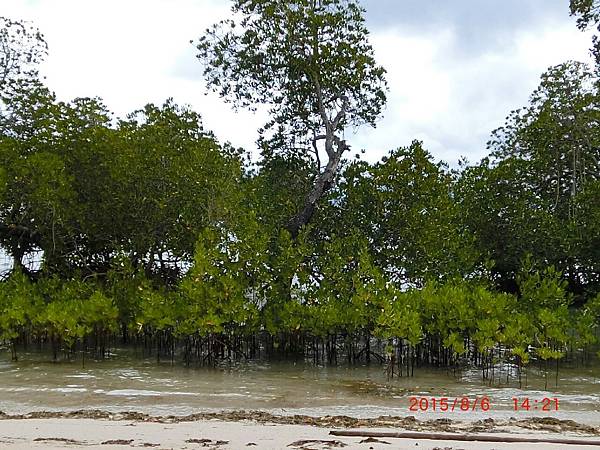 104.8288巴拉望_8355