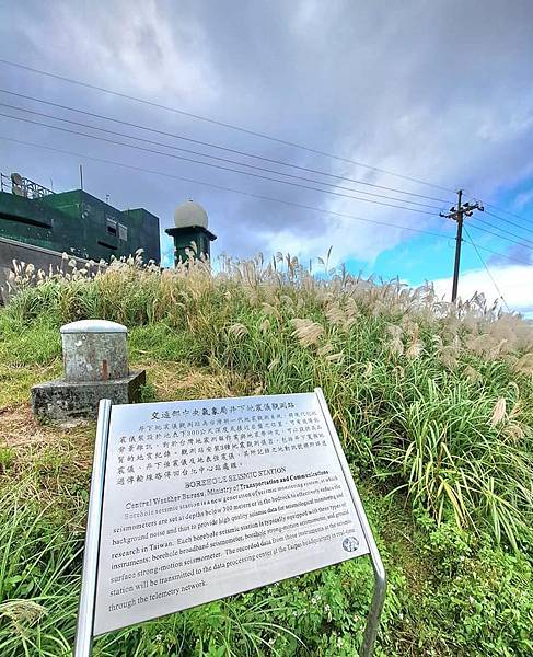 旅遊賞花-新北瑞芳五分山-芒草花