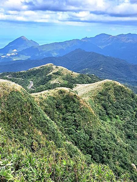 旅遊賞花-新北瑞芳五分山-芒草花