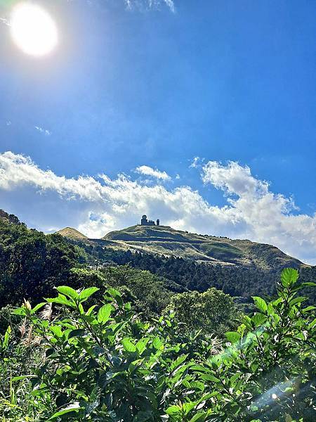 旅遊賞花-新北瑞芳五分山-芒草花