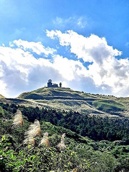 旅遊賞花-新北瑞芳五分山-芒草花