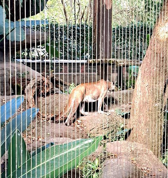 旅遊-台北市立動物園