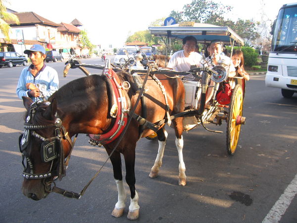 馬車行   其實馬兒還滿可憐的..