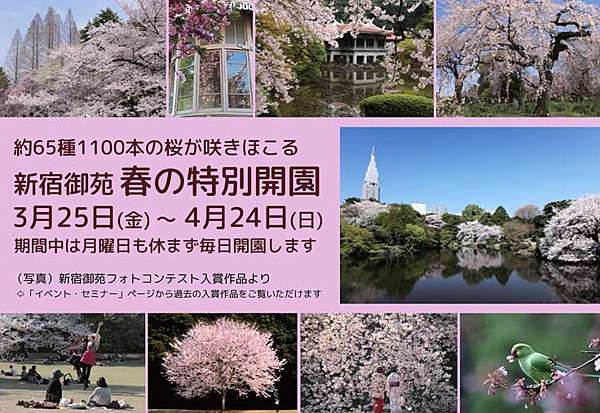 東京賞櫻名所 新宿御苑 賞櫻懶人包 哈日杏子 日本go 了沒 痞客邦 東京賞櫻名所 新宿御苑 賞櫻懶人包 哈日杏子 日本go 了沒 痞客邦