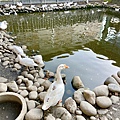 LINE_ALBUM_20221127-沐暉苑食_221129_5.jpg