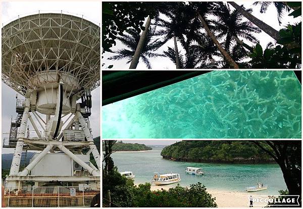 Collage 2019-07-19 22_22_39.jpg