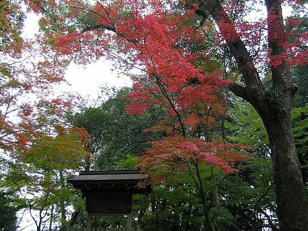 金閣寺