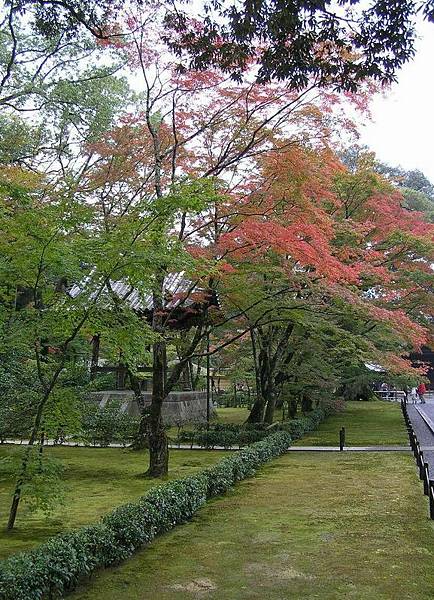 金閣寺