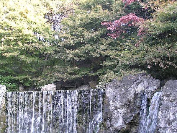 公園內風景