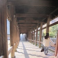 kyoto-201012 565.jpg