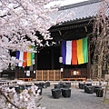 京都立本寺-2