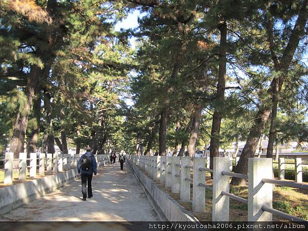 kyoto-201012 341