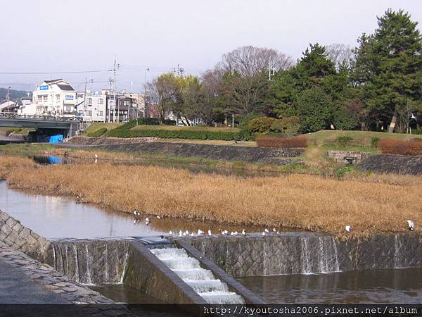 鴨川冬