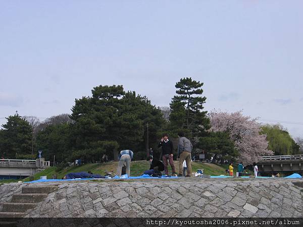 鴨川合流處