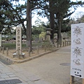 kyoto-201012 518.jpg