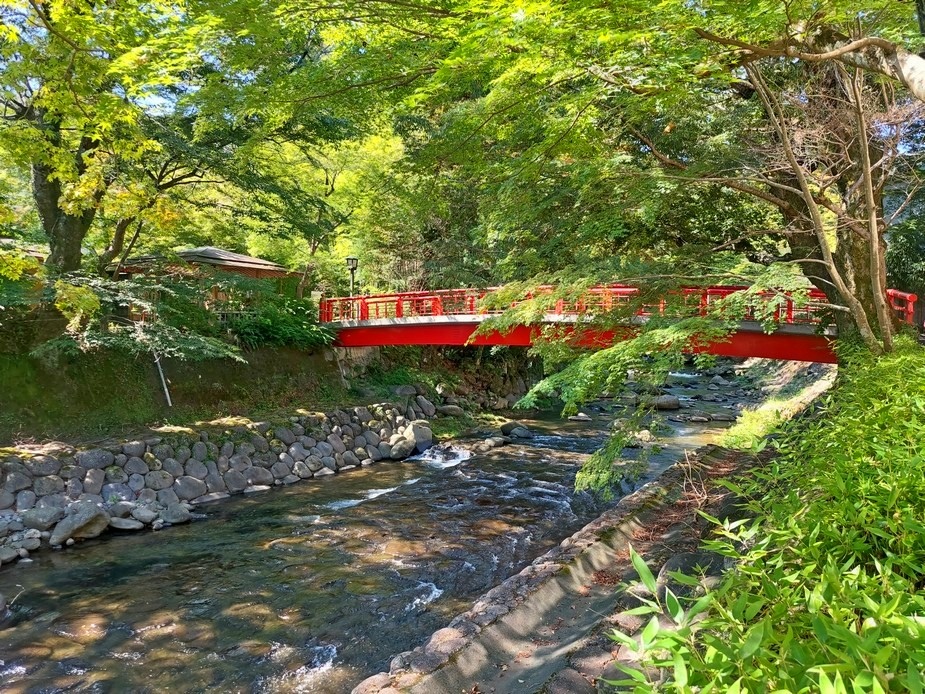 2023秋季靜岡 Day 6 單車(X) 伊豆修善寺