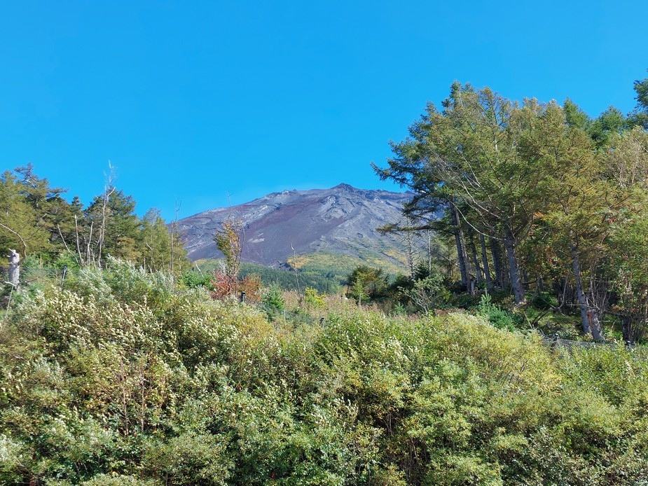 2023秋季靜岡 Day ８ 騎單車上富士山五合目