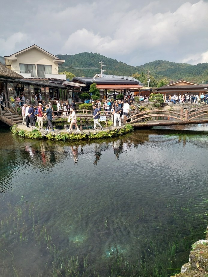 2023秋季靜岡 Day 9 騎單車遊山中湖、忍野八海