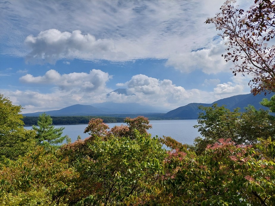 2023秋季靜岡 Day 10 騎單車遊富士五湖