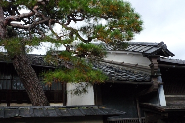 近江八幡水鄉秋色 嬉遊記 痞客邦