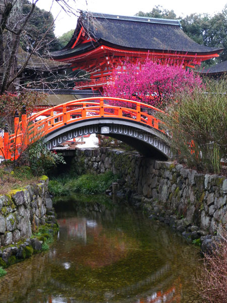 下鴨神社 光琳之梅 綻放 嬉遊記 痞客邦