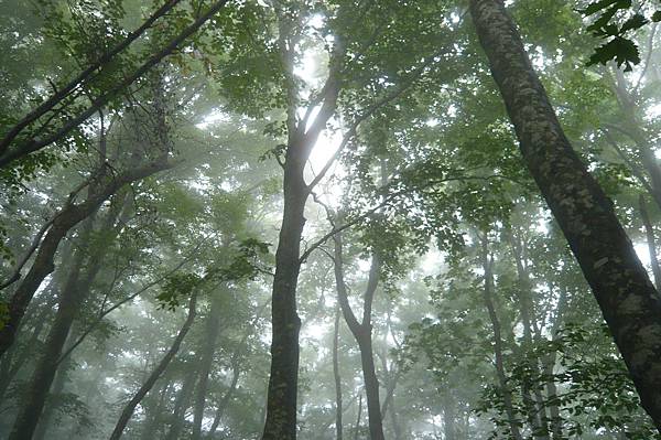 「伯耆富士」鳥取大山