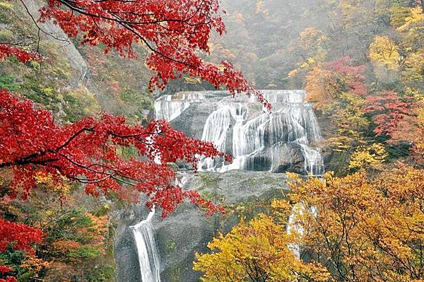 茨城縣北三大紅葉名所  花貫溪谷、龍神大吊橋、袋田瀑布