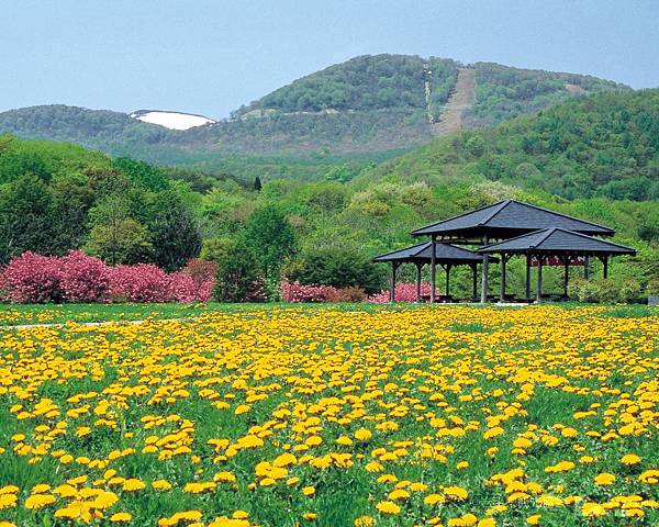 八幡平・県民の森