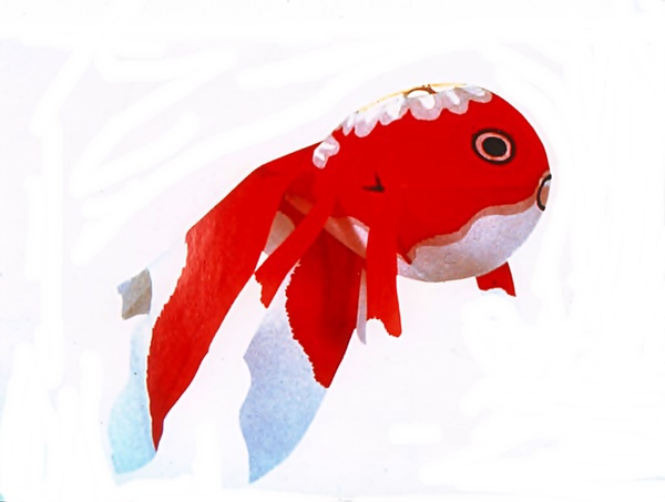 柳井市 金魚燈籠祭 嬉遊記 痞客邦