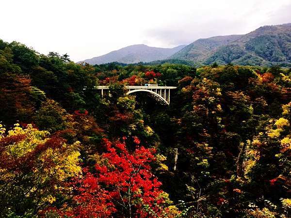 絕景 紅葉列車 嬉遊記 痞客邦