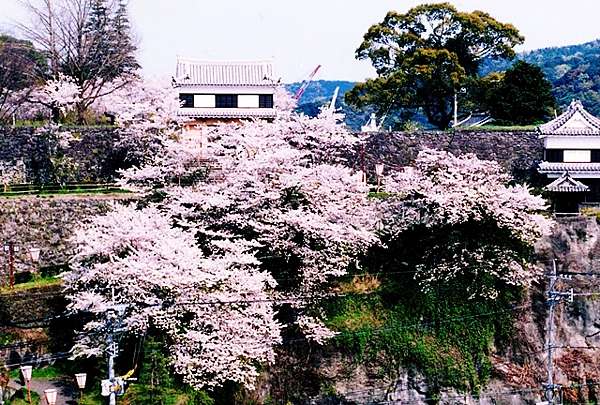 大分賞櫻秘境一心寺大分城址蓮城寺扇山櫻之園竹田岡城址臼杵城址 嬉遊記 痞客邦 大分賞櫻秘境一心寺大分城址蓮城寺扇山櫻之園竹田岡城址臼杵城址 嬉遊記 痞客邦