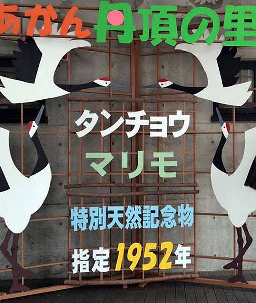 東北海道 釧路、帶廣、網走之旅