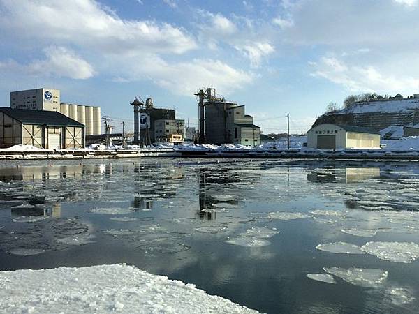 網走流冰   極光號碎冰船  鄂霍次克流冰館 濤沸湖水鳥