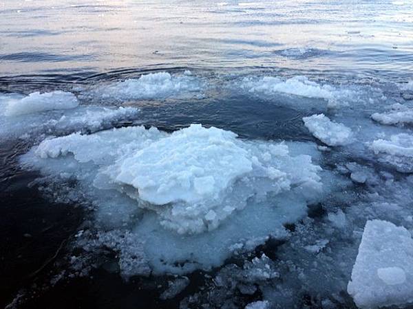 網走流冰   極光號碎冰船  鄂霍次克流冰館 濤沸湖水鳥