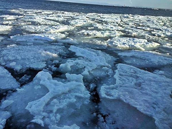 網走流冰   極光號碎冰船  鄂霍次克流冰館 濤沸湖水鳥