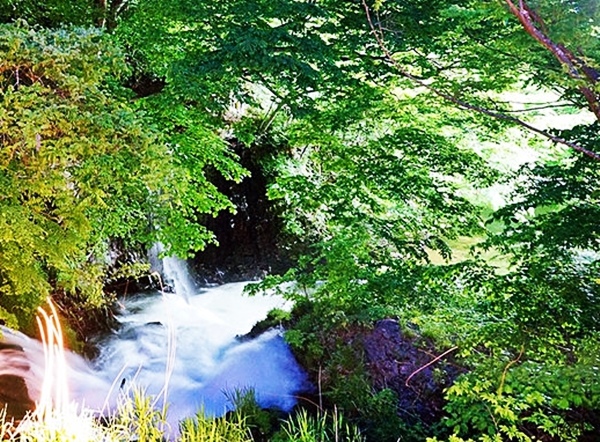 奧羽三樂鄉 東山溫泉