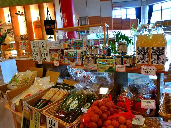 千葉南房總逍遙遊─ 木更津 母親牧場  館山   鴨川