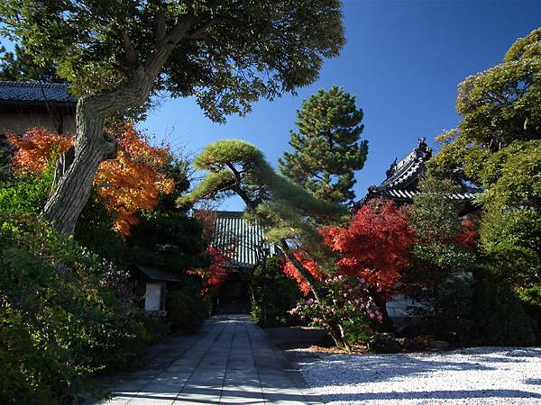 佳作　晩秋の證誠寺