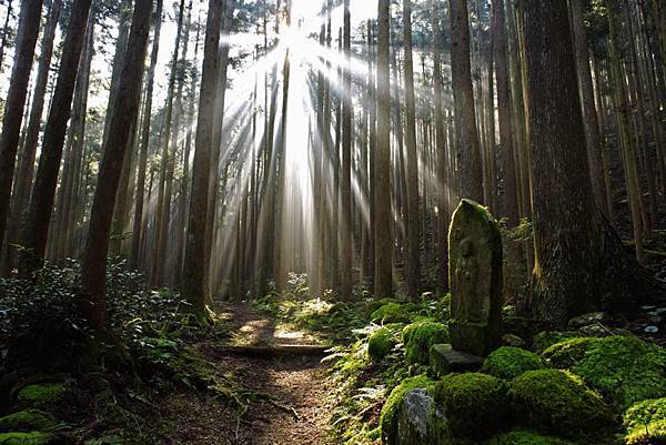 熊野古道_小雲取越-1030x687