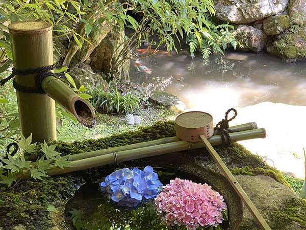 京都柳谷觀音楊谷寺京都最大的紫陽花庭園 嬉遊記 痞客邦