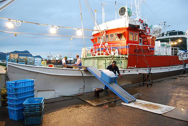 螃蟹季節開始了！ 香住蟹9月1日解禁
