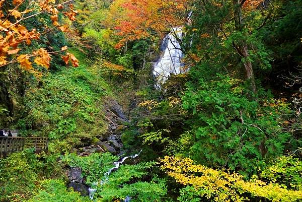 清涼絕景  中島台、獅子鼻濕原  元瀧伏流水 安之瀑布  抱