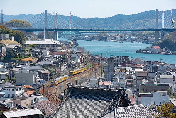 No4820_西國寺付近から見る春の尾道市街地