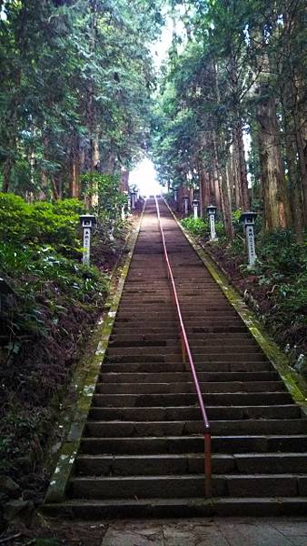 「箱根金太郎線」開通   暢遊南足柄、箱根