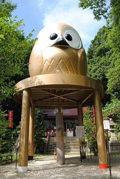 2貓頭鷹神社