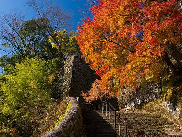 大分賞楓11選  一目八景 九醉溪  Iichiko日田  