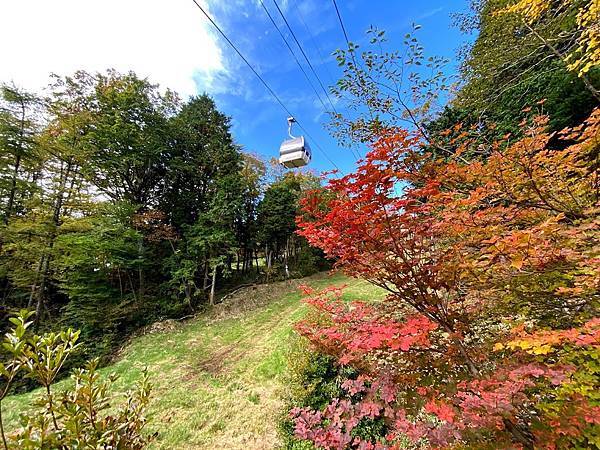 栃木紅葉名所精選