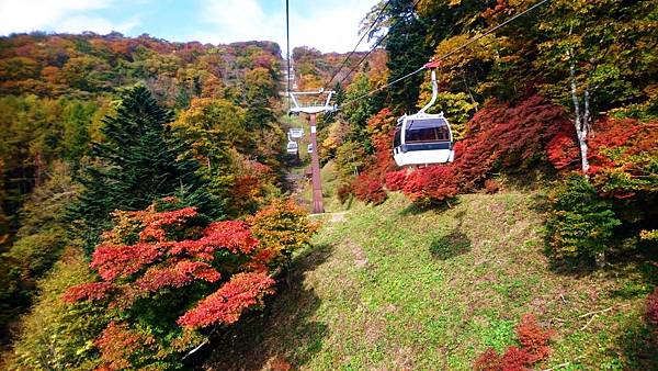 栃木紅葉名所精選